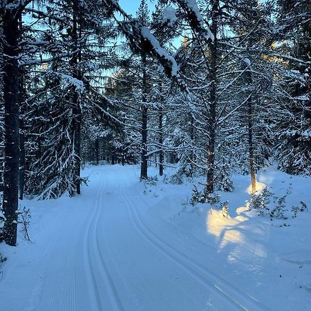 Bjorgebu Camping As Mysusæter Exterior foto